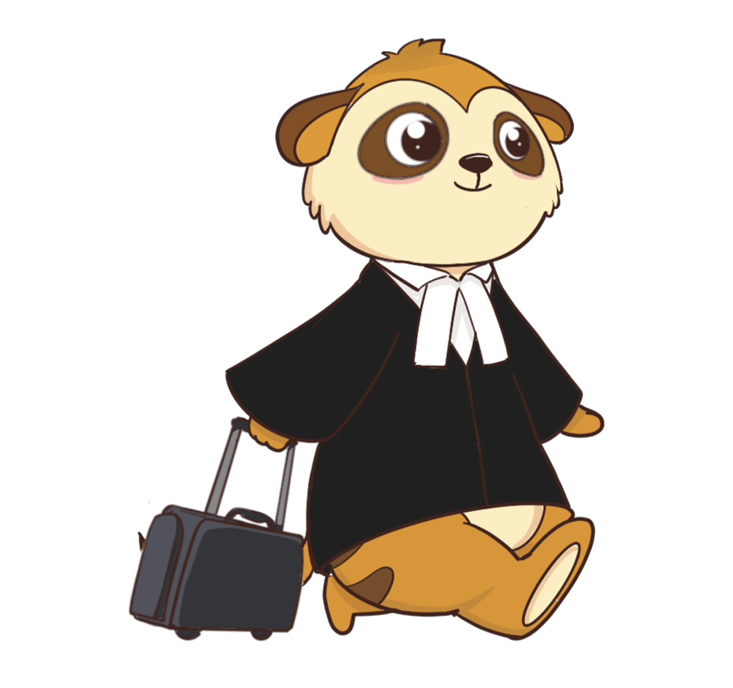 Timon